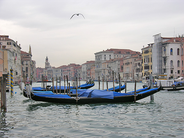 Venedig - Gondeln am Canal Grande